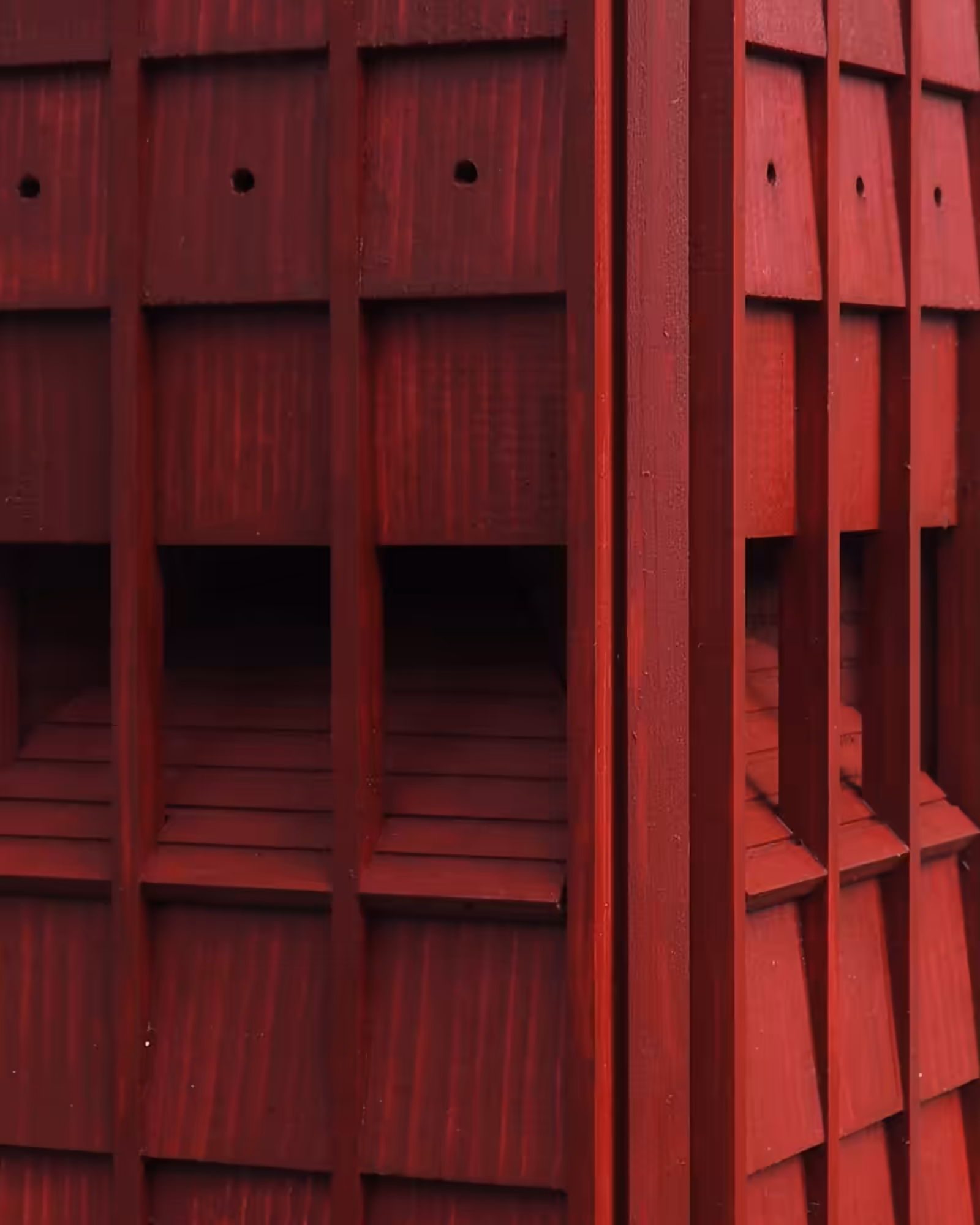 Close up af Flagermushus